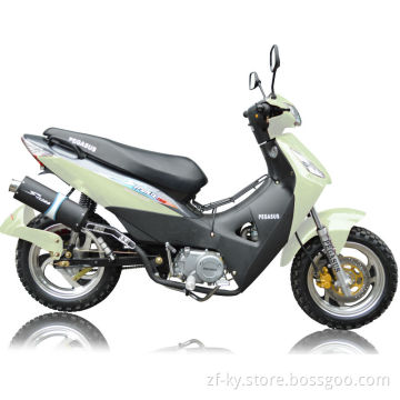 ZF110(VIII) BIZ MODEL 135CC MOTORBIKE, CHONGQING MOTORBIKE